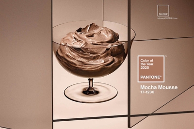 ЦВЕТЪТ НА 2025 Mocha Mousse (PANTONE 17‑1230)